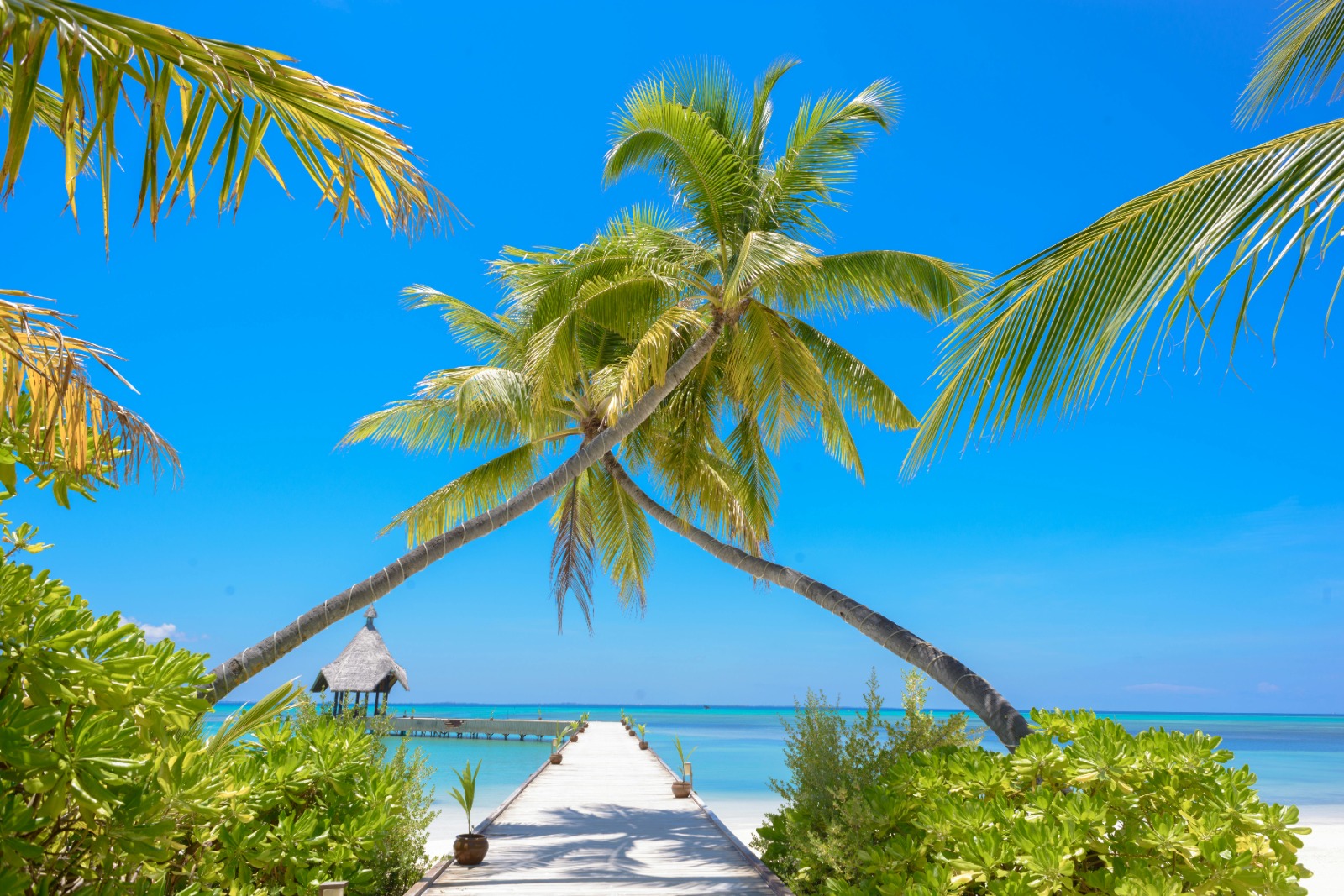 EMS Expands Delivery Services to the Maldives, Sri Lanka & Seychelles